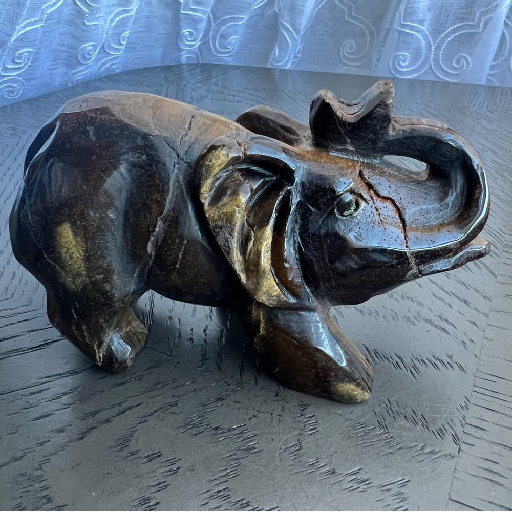 Tiger eye elephant